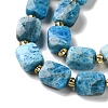 Natural Apatite Beads Strands G-H061-A04-01-4