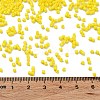 Baking Paint Glass Seed Beads X-SEED-S042-05B-81-4