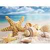 Starfish & Shell Pattern Beach Theme DIY Diamond Painting Kit WG37486-01-1