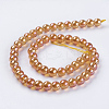 Electroplate Glass Beads Strands GLAA-K025-FR-6mm-A-3