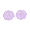 Frosted Transparent Acrylic Beads OACR-P029-19B-04-2