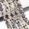 Natural Dalmatian Jasper Beads Strands G-N257-24A-04-1