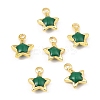 Brass Enamel Charms KK-K337-06G-2