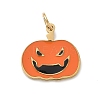 304 Stainless Steel Enamel Halloween Theme Charms STAS-Z164-03G-08-1