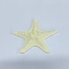 Resin Cabochons RESI-WH0024-74B-1
