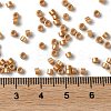 Baking Paint Glass Seed Beads SEED-S042-15A-13-4