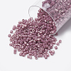 MIYUKI Delica Beads SEED-S015-DBS-0265-1