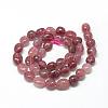 Natural Strawberry Quartz Beads Strands G-R445-8x10-17-2