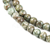 Natural Maifanite/Maifan Stone Beads Strands X-G-P451-01C-E-4