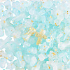 DIY Jewelry Making Findings Kits DIY-TA0012-54A-4
