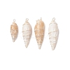 Copper Wire Wrapped Natural Spiral Shell Big Pendants PALLOY-JF03397-01-1