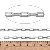 304 Stainless Steel Paperclip Chains CHS-M009-06P-04-2