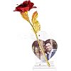 Transparent Acrylic Photo Frame Stands DJEW-WH0018-25-1