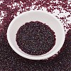 MIYUKI Delica Beads X-SEED-J020-DB1751-2
