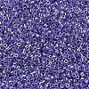 MIYUKI Delica Beads SEED-MY11-DB0250-3