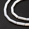 Natural Freshwater Shell Beads Strands X-SHEL-M018-10-4