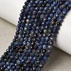 Natural Sodalite Bead Strands G-P279-58-3mm-01-2