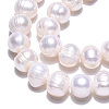 Natural Cultured Freshwater Pearl Beads Strands PEAR-N013-17N-01-4