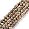 Natural Maifanite/Maifan Stone Beads Strands G-I187-4mm-01-1