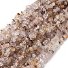 Natural Lodolite Quartz Beads Strands G-H315-A01-01-2