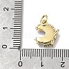 Brass Micro Pave Clear Cubic Zirconia with Glass Charms KK-G525-06G-4