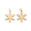 304 Stainless Steel Charms STAS-H241-32G-1
