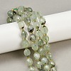 Natural Prehnite Beads Strands G-N342-149I-25-1