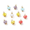 Glass Charms PALLOY-JF01309-1