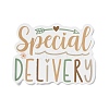 50Pcs PVC Self-Adhesive Stickers STIC-M001-06-2