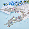 Glass Rhinestone Flower Appliques PATC-WH0005-50-5