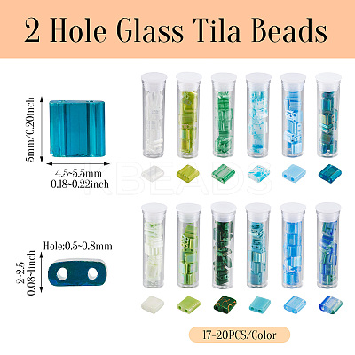 204~240Pcs 12 Colors 2-Hole Glass Seed Beads SEED-TA0001-19-1