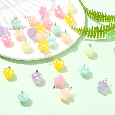 30Pcs 6 Colors Luminous Opaque Resin Pendants JACR-YW0001-03-1