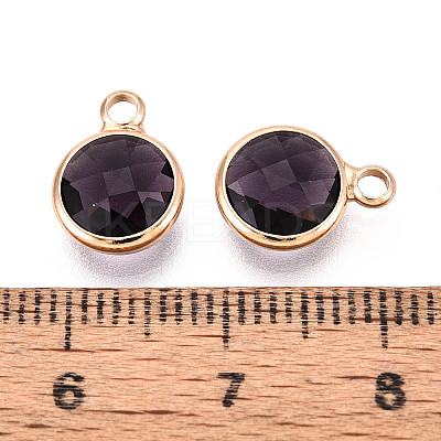 Golden Tone Brass Glass Charms GLAA-ZX008-24A-G-1