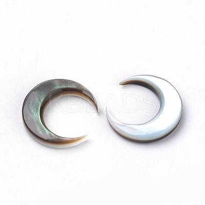 Black Lip Shell Cabochons SHEL-S267-04A-1