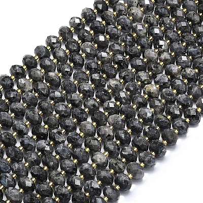 Natural Larvikite Beads Strands G-P573-A54-01-1