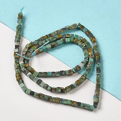 Natural African Turquoise(Jasper) Beads Strands G-B064-A13-1