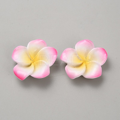 Two Tone Resin Cabochons LS-RESI-WH20010-01F-1
