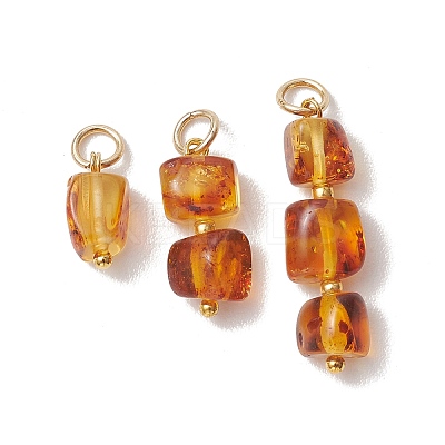 3Pcs 3 Styles Natural Amber Pendants PALLOY-JF05252-1