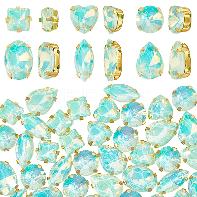 106pcs 6 Style Sew On Rhinestone FIND-OC0004-09D-1