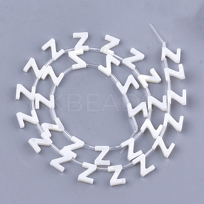Natural Freshwater Shell Beads SHEL-T012-59Z-1