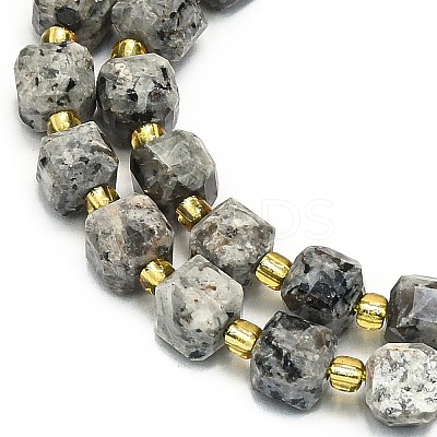 Natural Syenite Beads Strand G-I376-D17-01-1