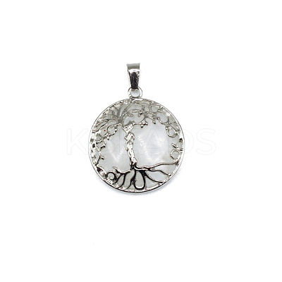 Natural Quartz Crystal Pendants FIND-PW0025-04J-1