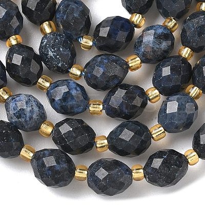 Natural Dumortierite Beads Strands G-F809-A39-01-1