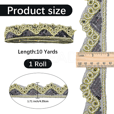 Sparkle Polyester Lace Ribbon SRIB-WH20020-049D-1