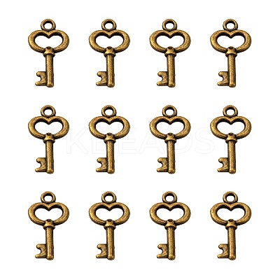 Gifts Ideas for Her Tibetan Style Alloy Charms LS-MLF11975Y-NF-1