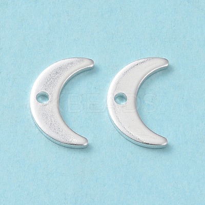304 Stainless Steel Charms STAS-L234-073S-1