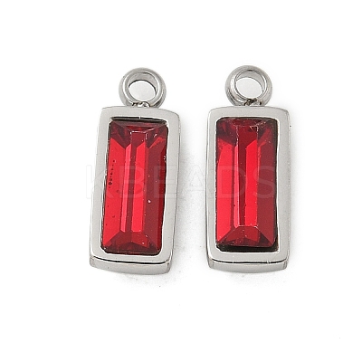304 Stainless Steel Charm STAS-L022-242P-07-1