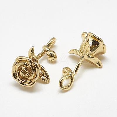 Brass Pendants KK-S347-019-1