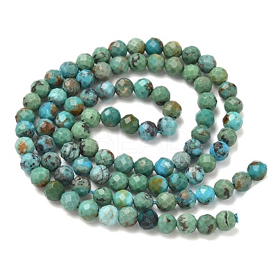 Natural HuBei Turquoise Beads Strands G-P629-A04-03-1