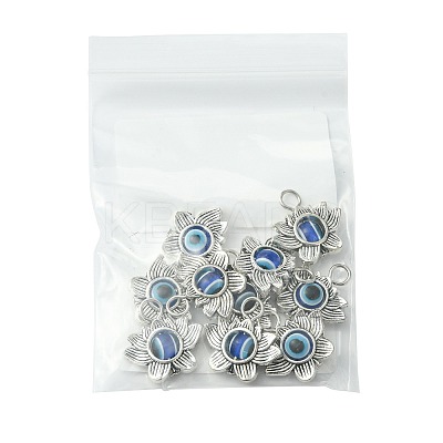 10Pcs Evil Eye Alloy Resin Pendants PALLOY-FS00058-02-1